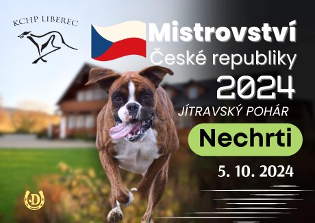 nechrti2024