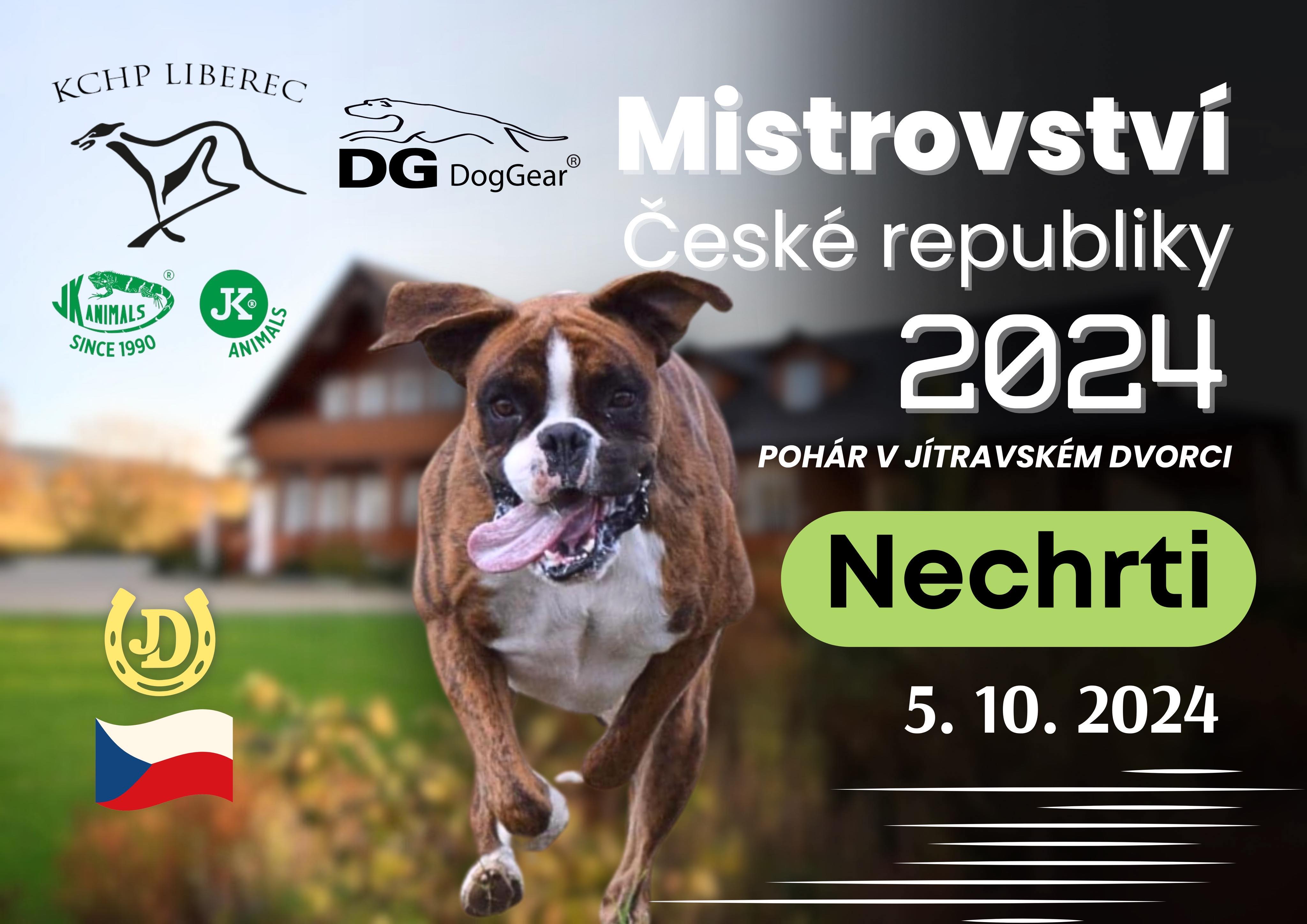 NEchrti2024a